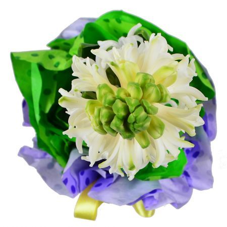 Fragrant Hyacinth in a Pot Fragrant Hyacinth in a Pot