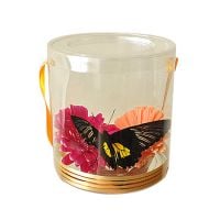 Живая бабочка в прозрачной кробочке с цветами