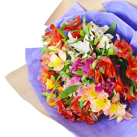  Bouquet Rainbow recognition
													