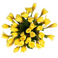 Bouquet of daffodils (35 pcs.) Soroca