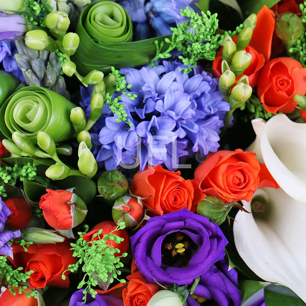  Bouquet Bright colors
													