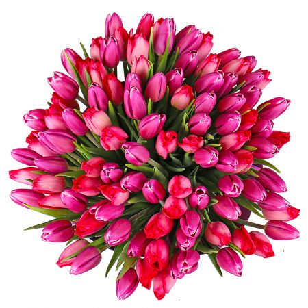 Bouquet of tulips (101 pcs.)