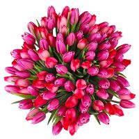 Bouquet Bouquet of tulips (101 pcs.)