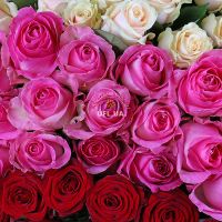 Magic ball of 303 roses Irbid