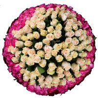 Magic ball of 303 roses Annerod