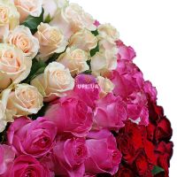 Magic ball of 303 roses Kalfa