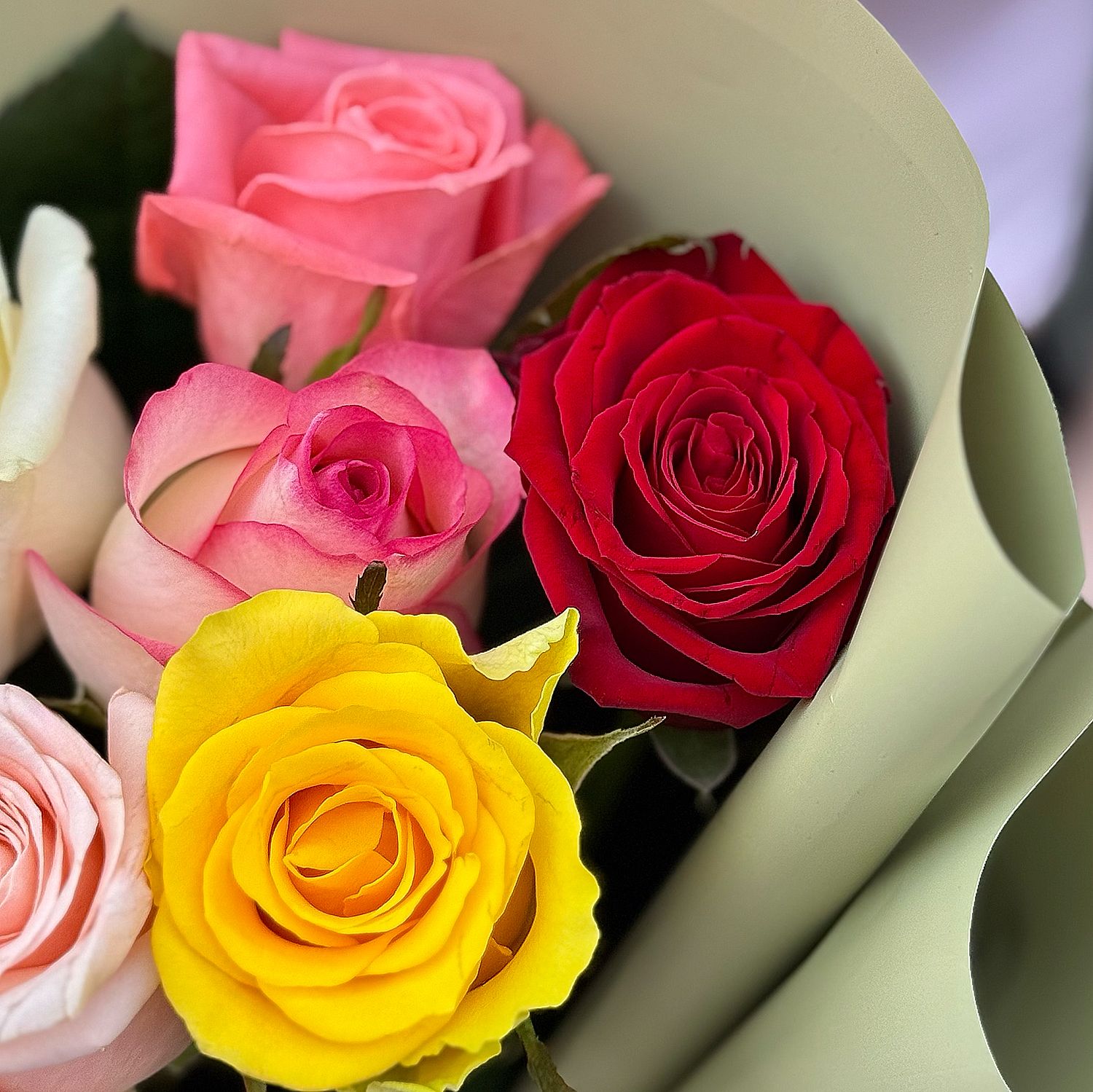 7 multi color roses 36 $