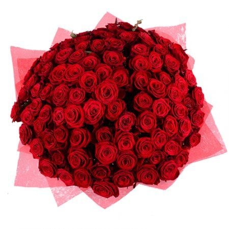 101 red rose