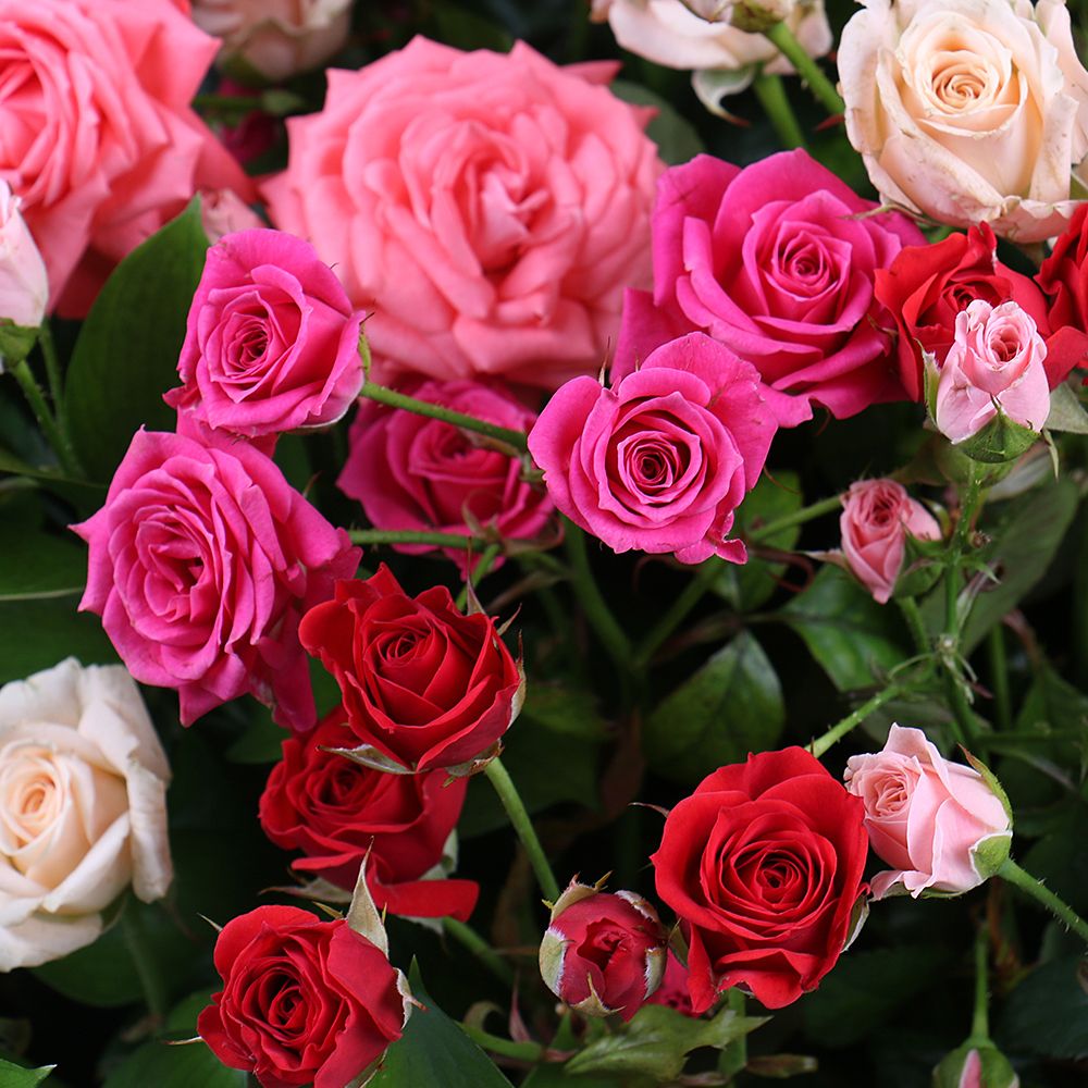 Basket with roses Basket with roses