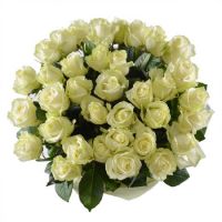 Bouquet white roses Slobozia