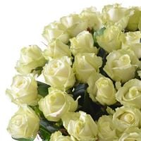 Bouquet white roses