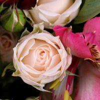  Bouquet Gentle melody Preston Fulwood
														