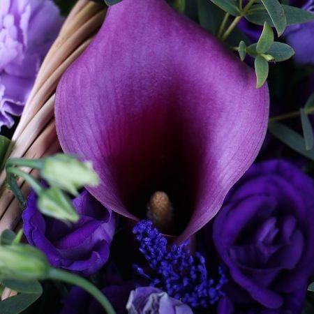  Bouquet Plum present
													