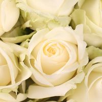 Букет Білі троянди Легкий крем