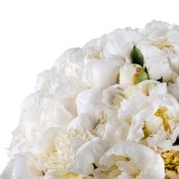 Bouquet 101 white peony