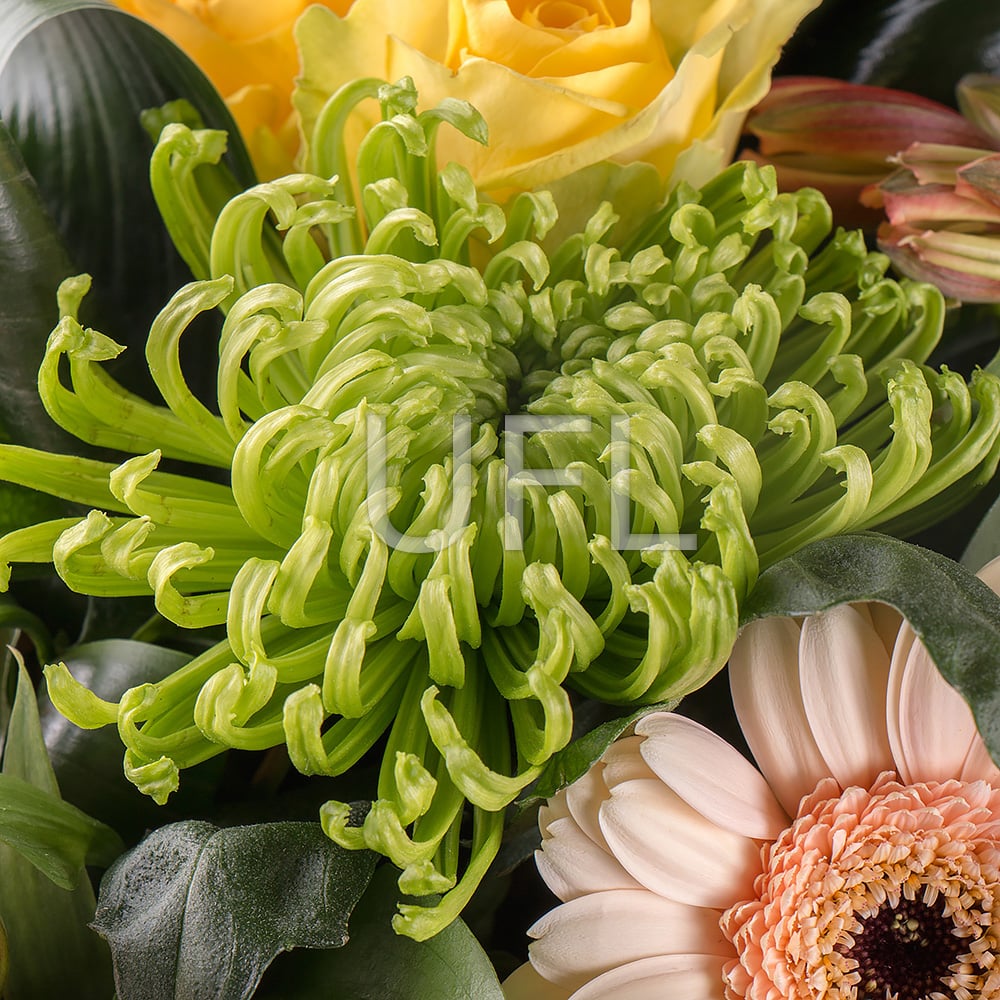 With tenderness 84 $