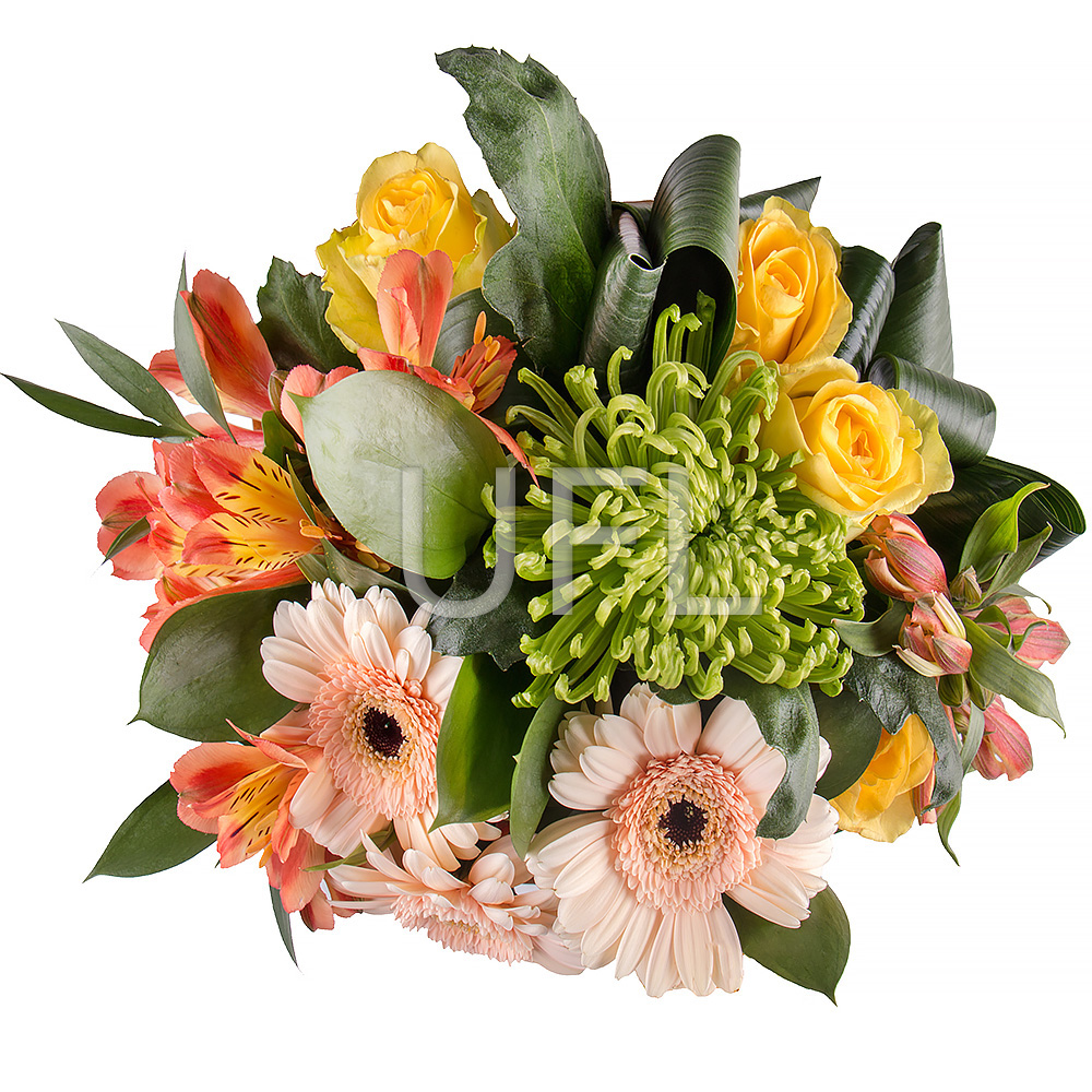 With tenderness 84 $