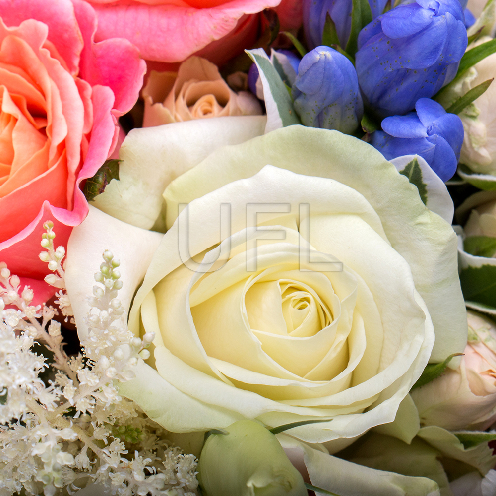  Bouquet Flower mirage
													