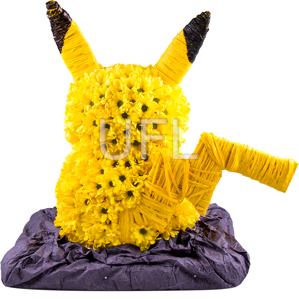  Bouquet Toy pokemon
													