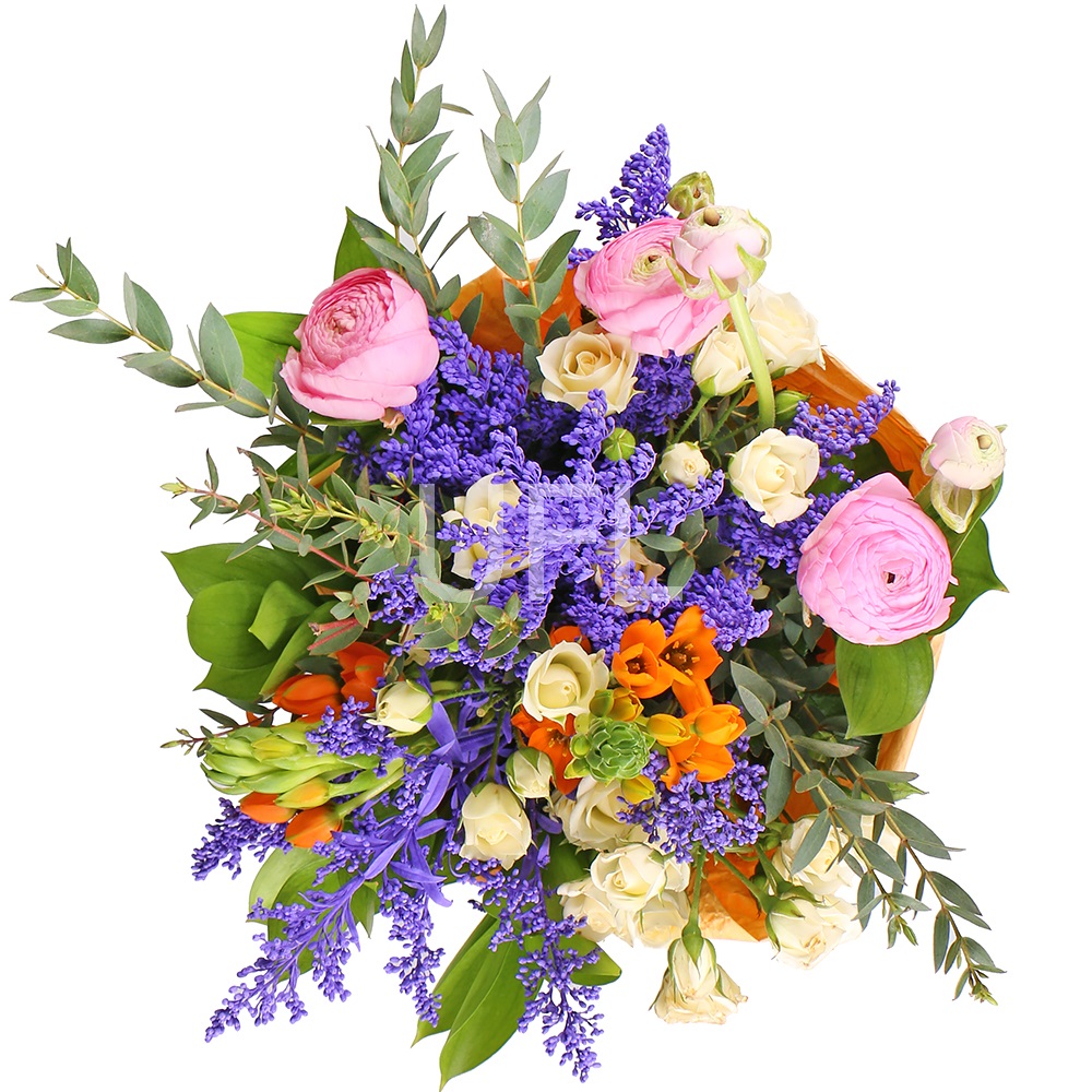  Bouquet Carte blanche
													