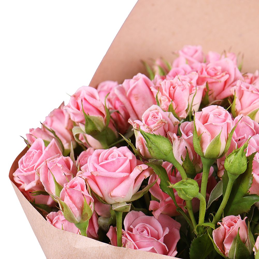 15 pink spray roses 15 pink spray roses