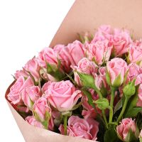 15 pink spray roses Goscha