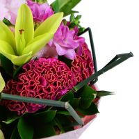  Bouquet Flower sorbet
														