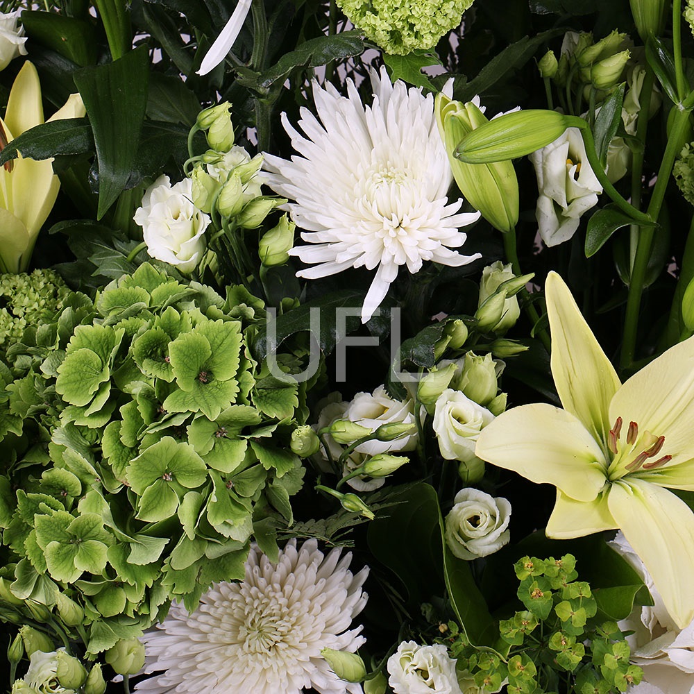Basket of white flowers