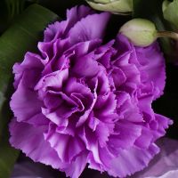  Bouquet Lilac sunset Rovinj
														