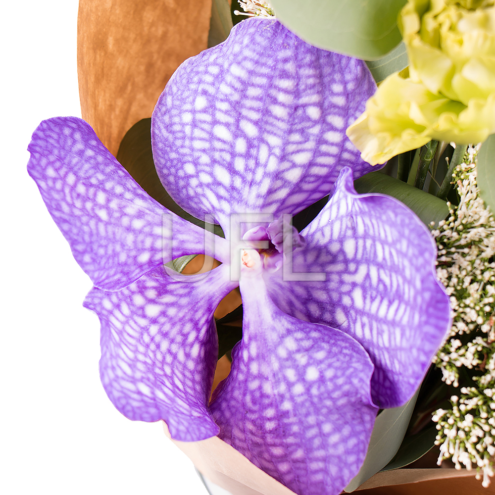  Bouquet Vanda allurement
													