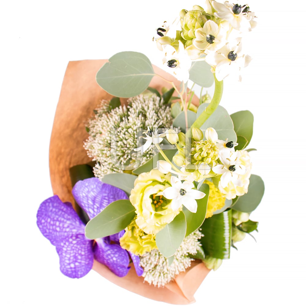  Bouquet Vanda allurement
													