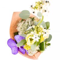  Bouquet Vanda allurement
														