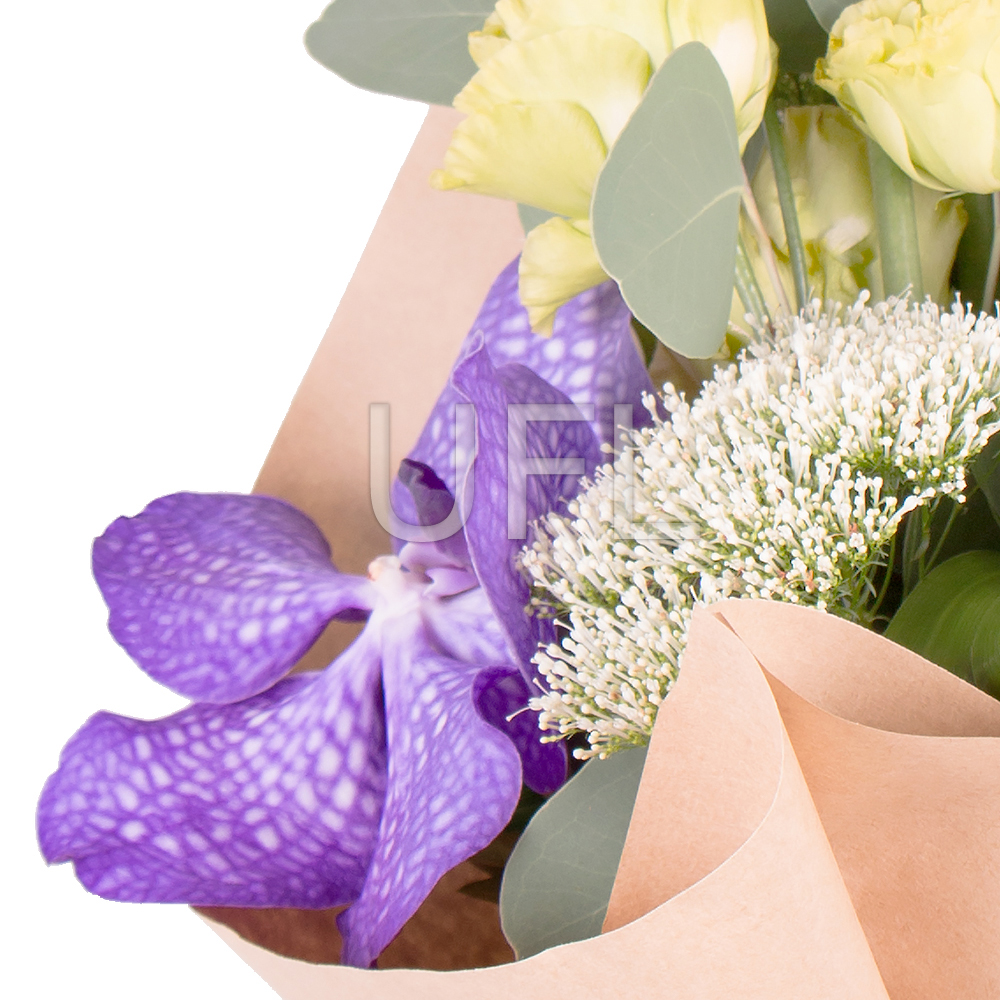  Bouquet Vanda allurement
													