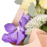  Bouquet Vanda allurement Kokand
														