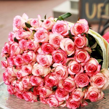 51 white and pink rose