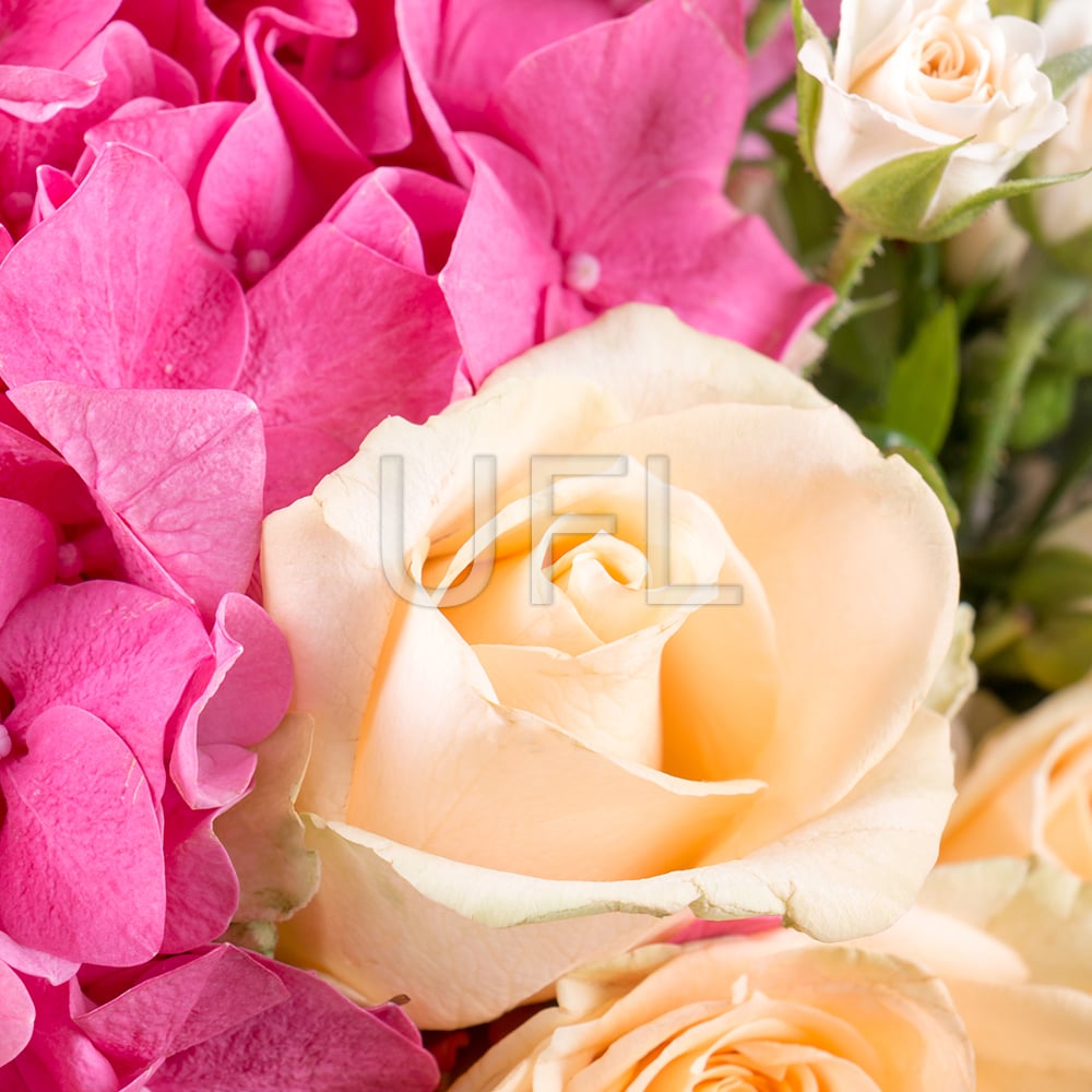Aroma of tenderness 150 €
