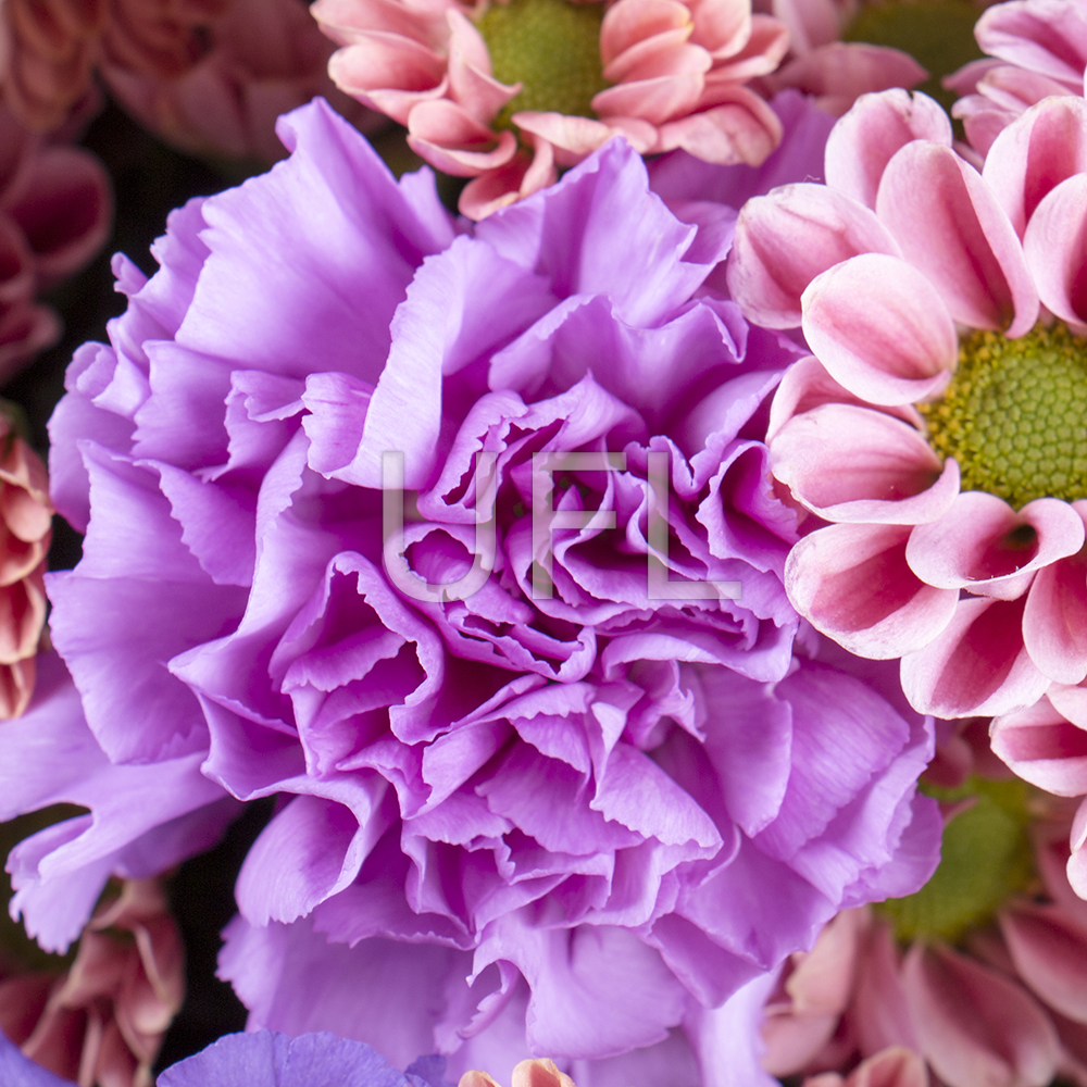  Bouquet Watercolor splashes
													