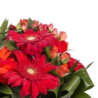  Bouquet Crimson palette Donetsk
														