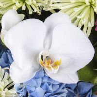  Букет Квіткова фея Балі
														