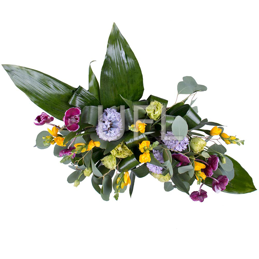  Bouquet Bright Mifrid
													