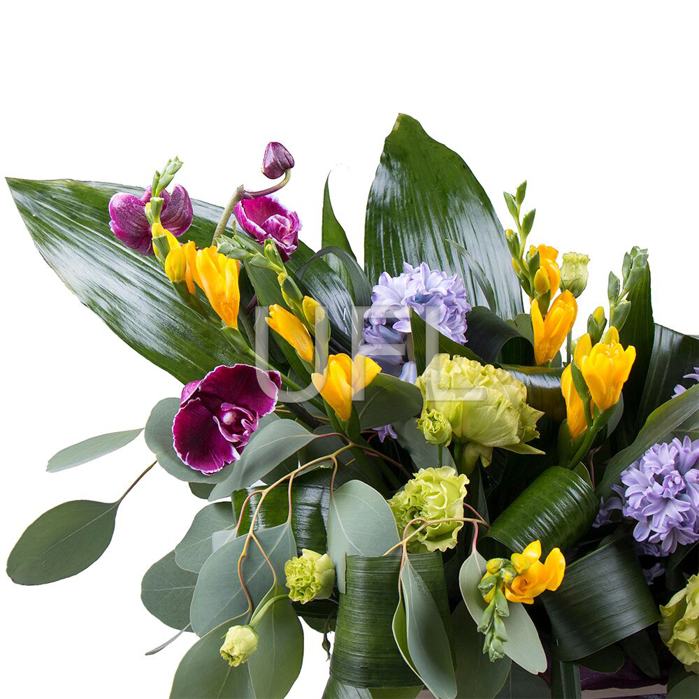  Bouquet Bright Mifrid
													