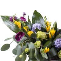  Bouquet Bright Mifrid
														