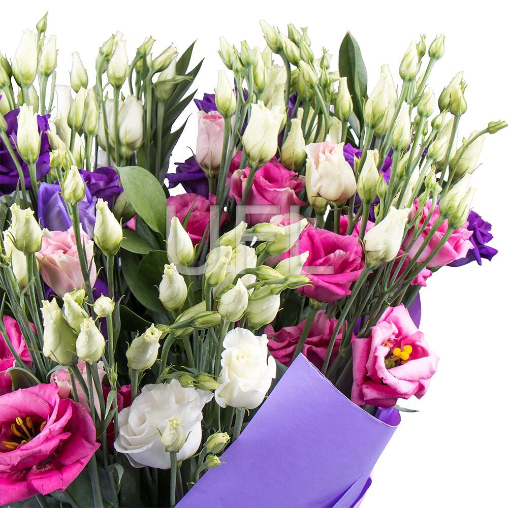 Bouquet with eustoma 160 €