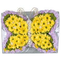 Золотистая цветочная бабочка Фаджето-Ларио