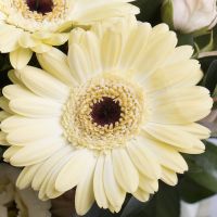  Bouquet Precious beryl
														