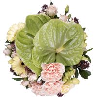  Bouquet Precious beryl
														