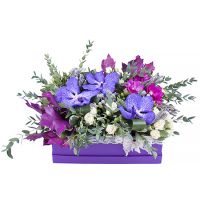  Bouquet Star haven Mariupol (delivery currently not available)
														