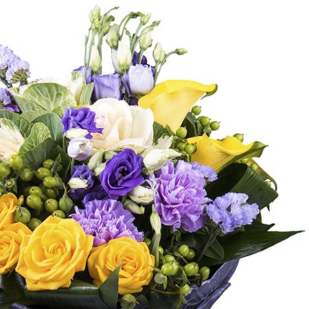 Blooming valley 249 €