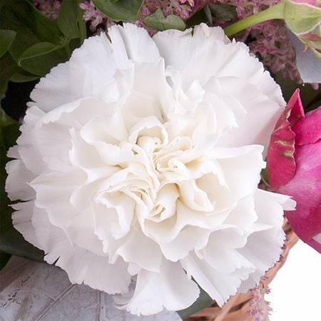  Bouquet Marshmallow lightness
														