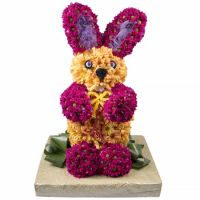  Bouquet Colorful rabbit Krivoy Rog
														